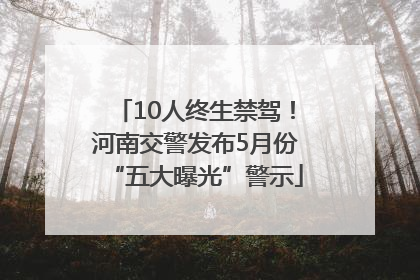 10人终生禁驾！河南交警发布5月份“五大曝光”警示