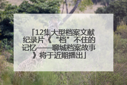 12集大型档案文献纪录片《“档”不住的记忆——聊城档案故事》将于近期播出