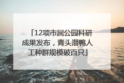 12项市属公园科研成果发布，青头潜鸭人工种群规模破百只