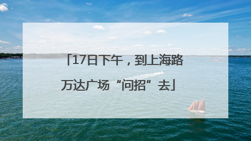 17日下午，到上海路万达广场“问招”去