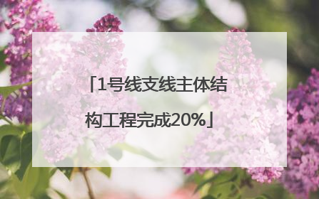 1号线支线主体结构工程完成20%