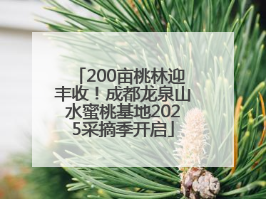 200亩桃林迎丰收！成都龙泉山水蜜桃基地2025采摘季开启