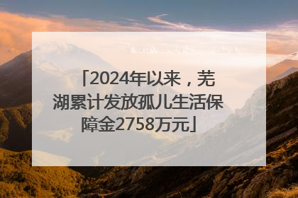 2024年以来，芜湖累计发放孤儿生活保障金2758万元