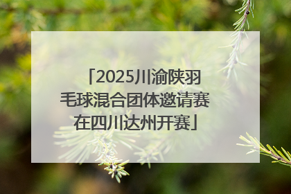 2025川渝陕羽毛球混合团体邀请赛在四川达州开赛