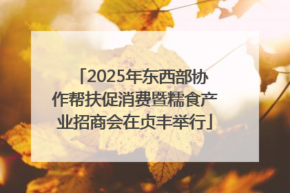 2025年东西部协作帮扶促消费暨糯食产业招商会在贞丰举行