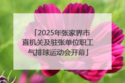 2025年张家界市直机关及驻张单位职工气排球运动会开幕