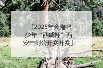 2025年奔跑吧·少年“西咸杯”西安击剑公开赛开赛