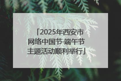 2025年西安市网络中国节·端午节主题活动顺利举行