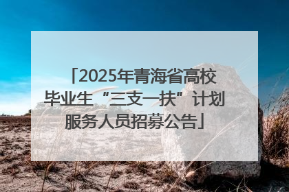 2025年青海省高校毕业生“三支一扶”计划服务人员招募公告