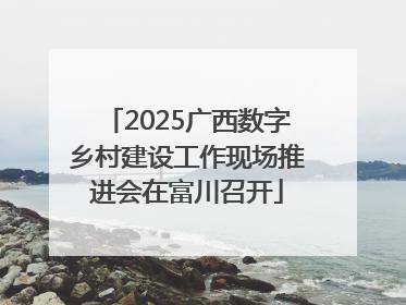 2025广西数字乡村建设工作现场推进会在富川召开