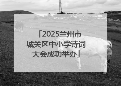 2025兰州市城关区中小学诗词大会成功举办