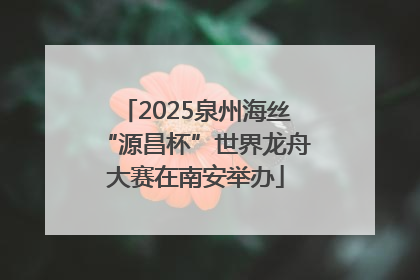 2025泉州海丝“源昌杯”世界龙舟大赛在南安举办