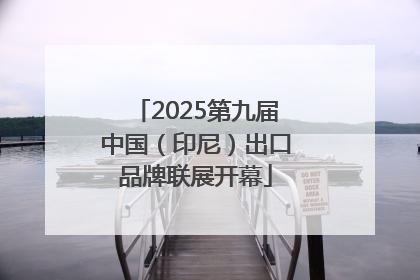 2025第九届中国（印尼）出口品牌联展开幕