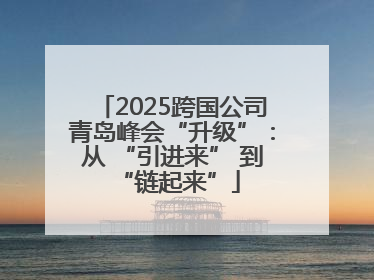 2025跨国公司青岛峰会“升级”：从 “引进来” 到 “链起来”