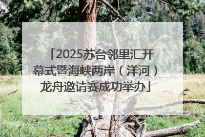 2025苏台邻里汇开幕式暨海峡两岸（洋河）龙舟邀请赛成功举办
