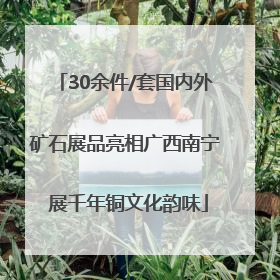 30余件/套国内外矿石展品亮相广西南宁 展千年铜文化韵味