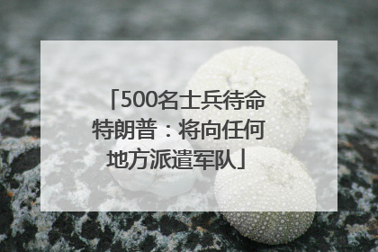 500名士兵待命 特朗普：将向任何地方派遣军队