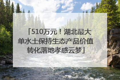 510万元！湖北最大单水土保持生态产品价值转化落地孝感云梦