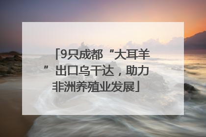 9只成都“大耳羊”出口乌干达，助力非洲养殖业发展