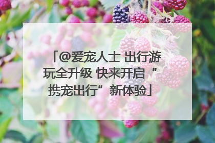 @爱宠人士 出行游玩全升级 快来开启“携宠出行”新体验
