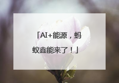 AI+能源，蚂蚁鑫能来了！