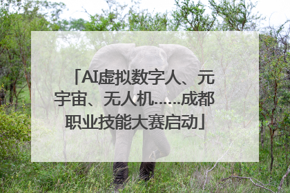 AI虚拟数字人、元宇宙、无人机……成都职业技能大赛启动