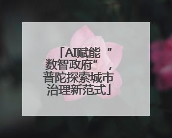 AI赋能“数智政府”，普陀探索城市治理新范式
