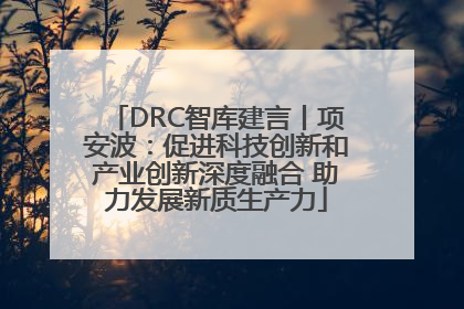 DRC智库建言丨项安波：促进科技创新和产业创新深度融合 助力发展新质生产力