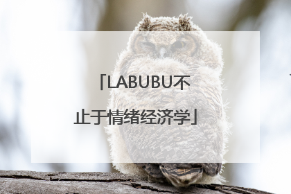 LABUBU不止于情绪经济学