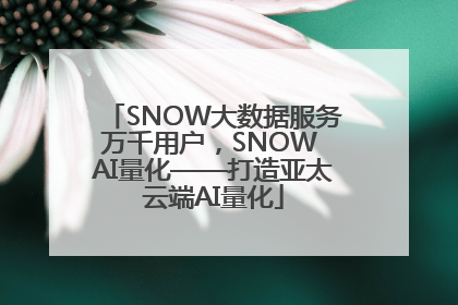 SNOW大数据服务万千用户，SNOW AI量化——打造亚太云端AI量化